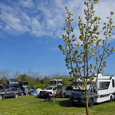 Marina Park Camping